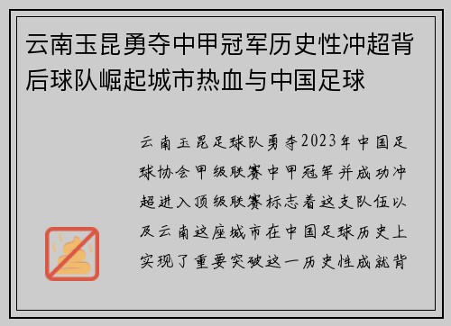 云南玉昆勇夺中甲冠军历史性冲超背后球队崛起城市热血与中国足球